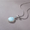 Pendentif Larimar & Zircon – Sérénité Éblouissante en Argent 925 – Image 3