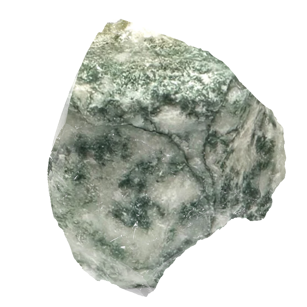 Agate Arbre Pierre Brute