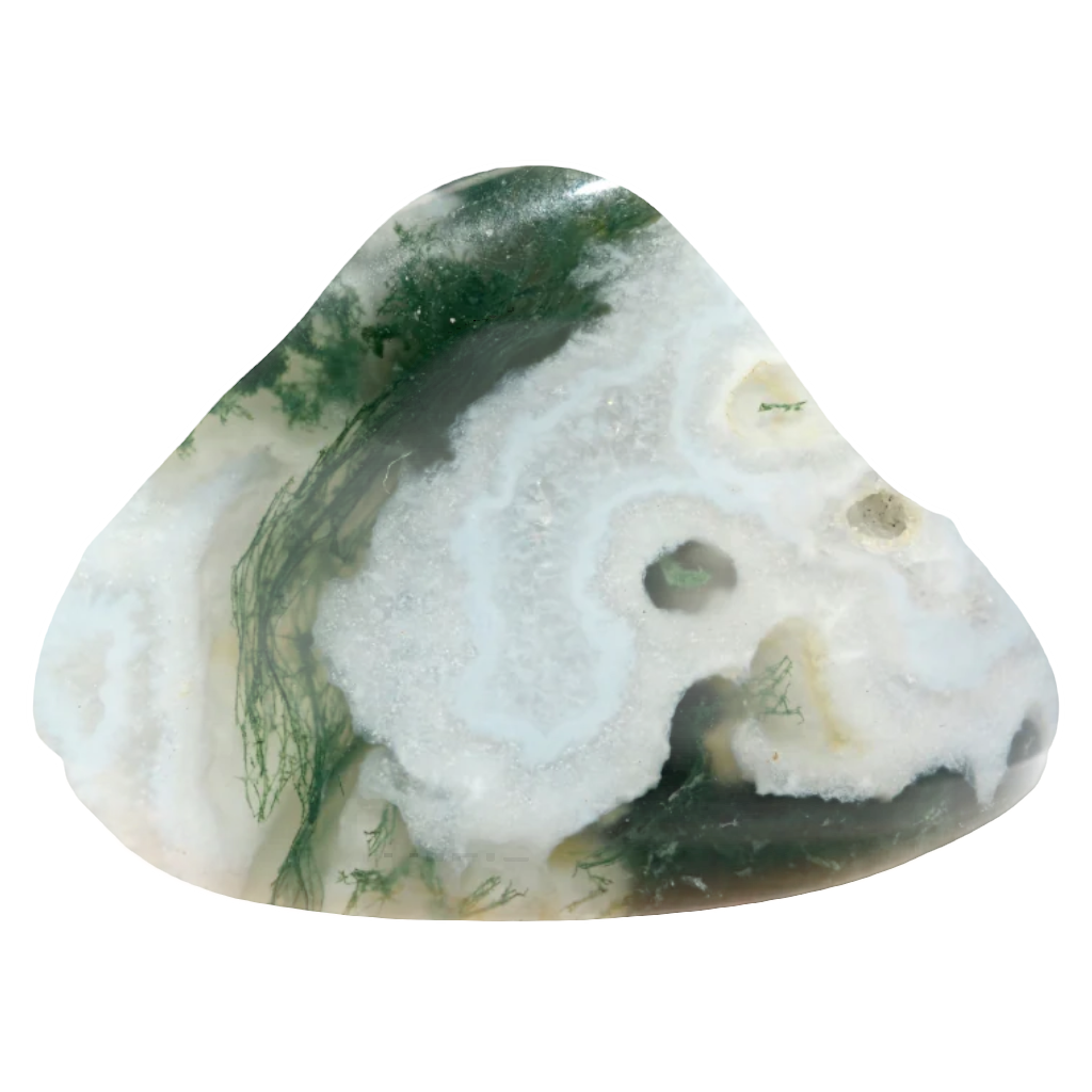 Agate Arbre Pierre Roulée