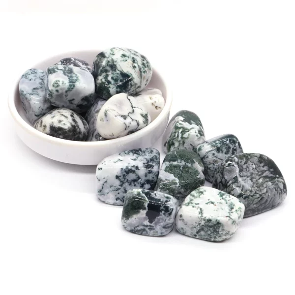 Agate Mousse – Pierre Naturelle (Brute ou Roulée) – Image 2